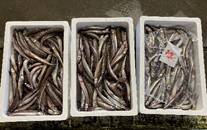 写真, 座る, 古い, いっぱい が含まれている画像

AI 生成コンテンツは誤りを含む可能性があります。