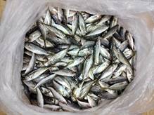 魚, 食品, 揚げ物, 座る が含まれている画像
AI 生成コンテンツは誤りを含む可能性があります。